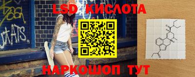 молекула духа Донской