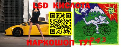 молекула духа Донской