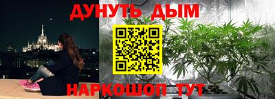 дмт Дубна