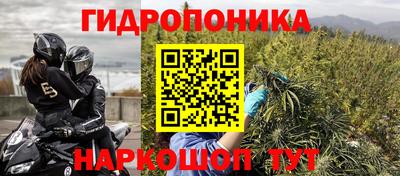 дмт Дубна