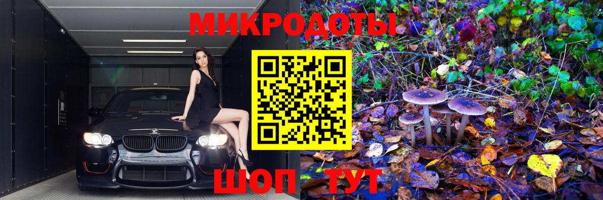 Псилоцибиновые грибы Cubensis Малгобек