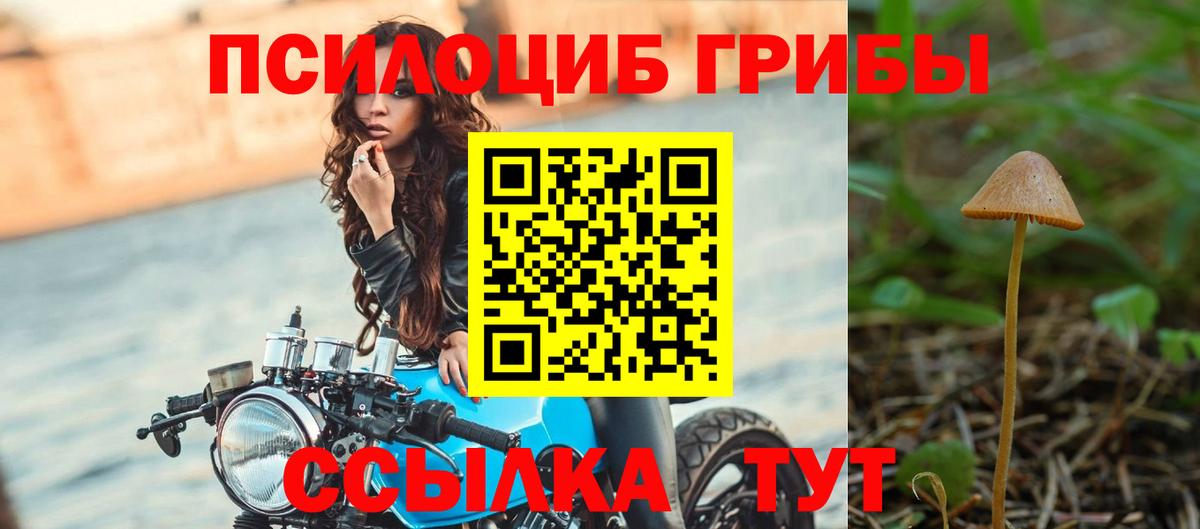 Малгобек  Псилоцибиновые грибы ЛСД  Вход с VPN 